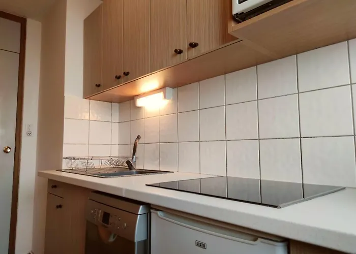 Spacieux, Acces Direct Pistes, Casier A Skis, 1 - Fr-1-181-2695 La Plagne Tarentaise